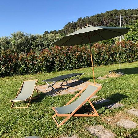 Intero Alloggio Campagna Lucca Capannori Extérieur photo