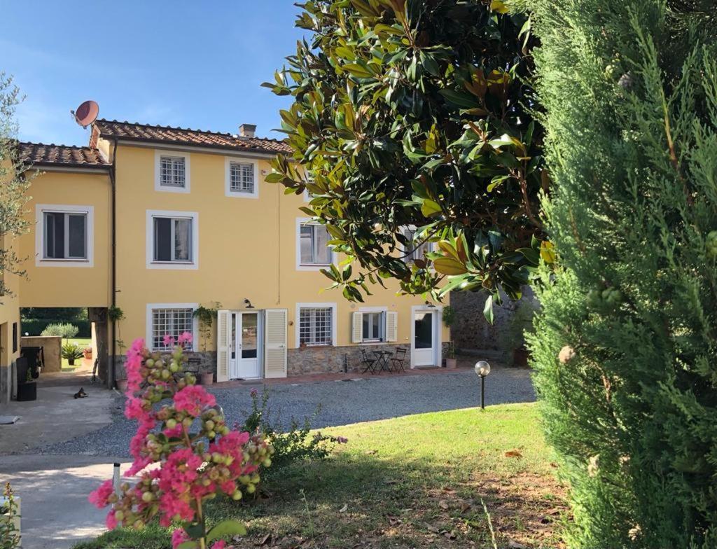 Intero Alloggio Campagna Lucca Capannori Extérieur photo
