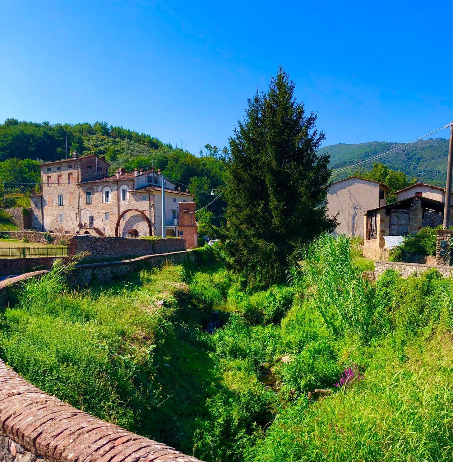 Intero Alloggio Campagna Lucca Capannori Extérieur photo